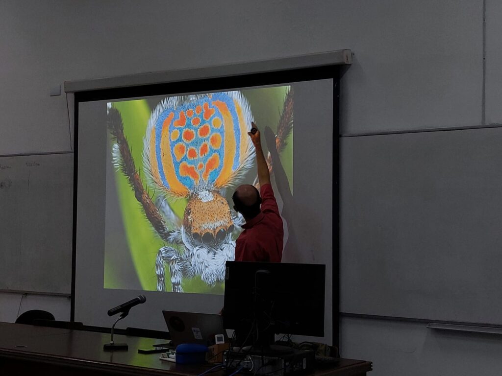 Professor Glauco Machado em frente a uma imagem de aranha-pavão transmitida por um projetor na sala de aula durante o microcurso sobre Genética do Comportamento