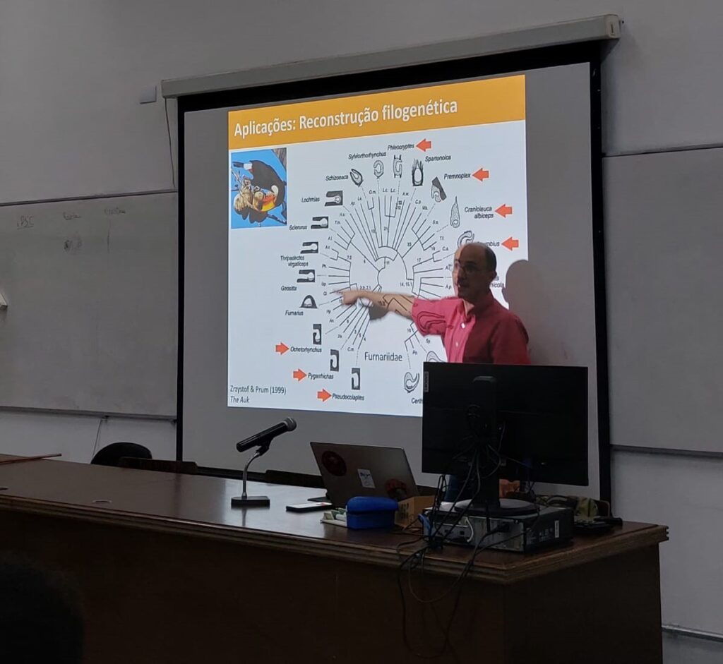 Professor Glauco Machado em frente a um esquema de reconstrução filogenética transmitido por um projetor na sala de aula durante o microcurso sobre Genética do Comportamento