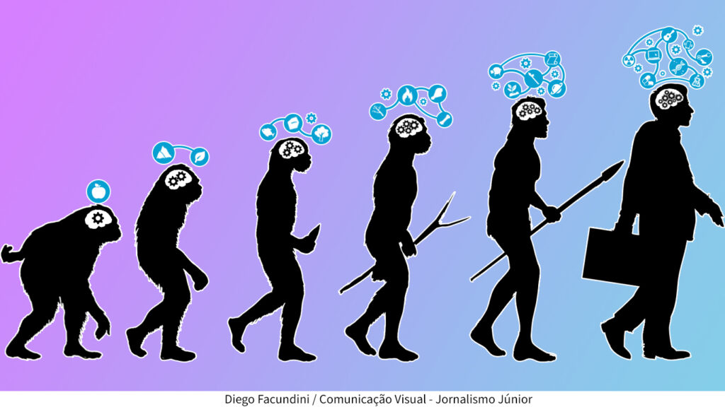 Imagem tradicional de evolução humana, com seis figuras, desde os macacos até os homo sapiens sapiens