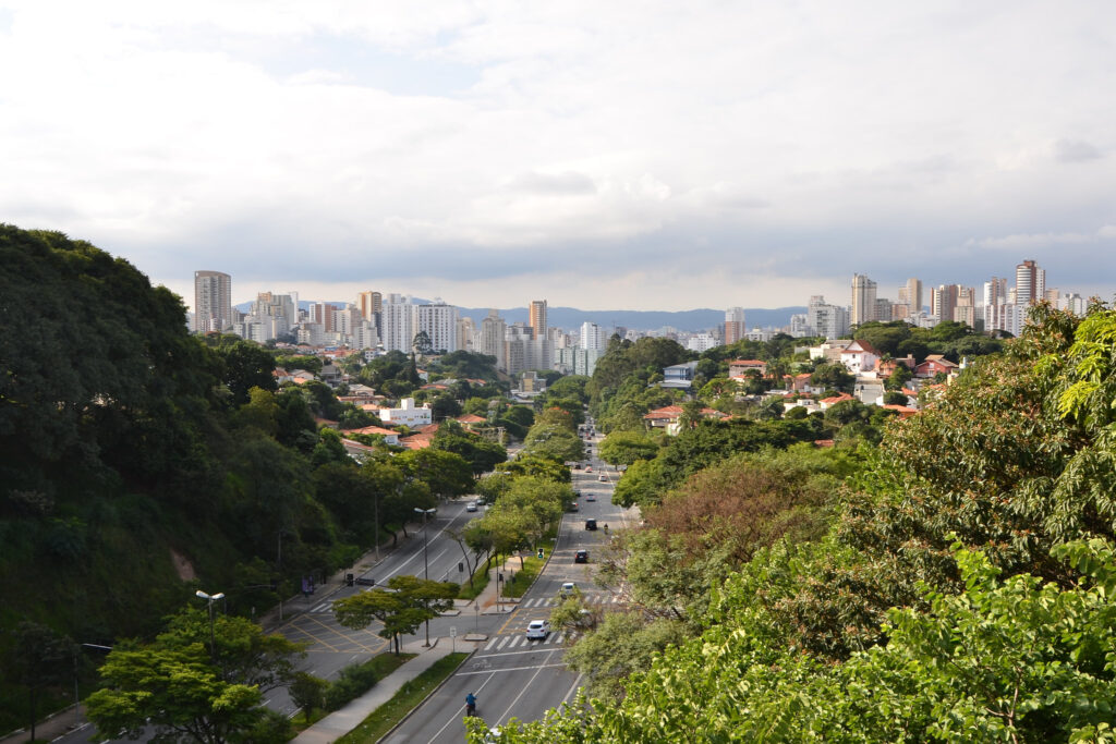 Arborização na cidade de São Paulo é indicador de qualidade de vida