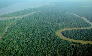 Imagem de cima da Amazônia e seus rios