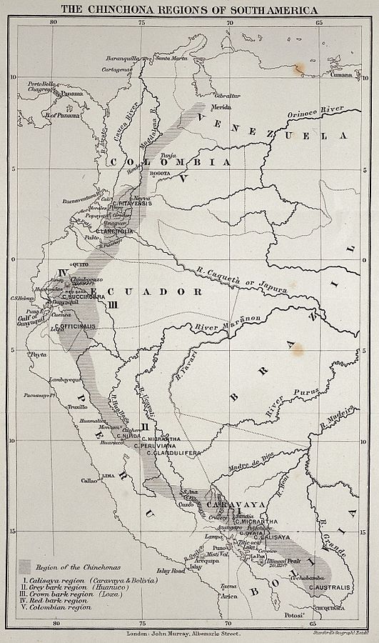 Mapa da Cordilheira dos Andes