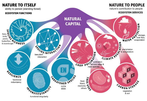 elementos para a biodiversidade dos carajás