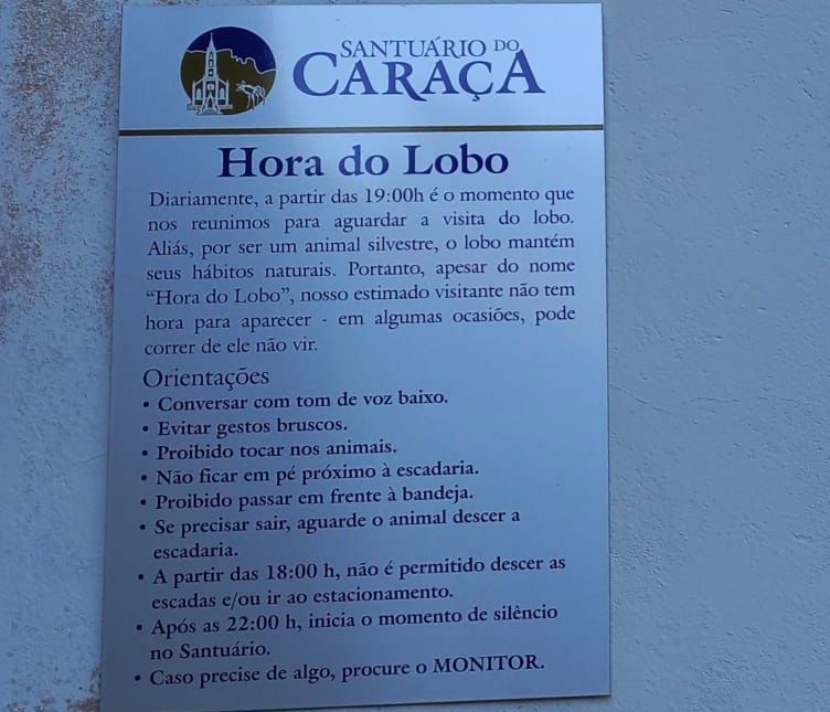 hora do lobo-guará