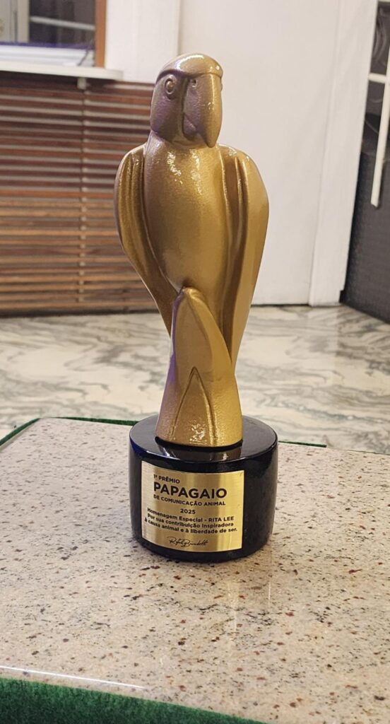 O troféu do prêmio papagaio, em dourado