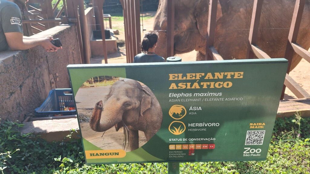 Placa com informações sobre elefantes asiáticos