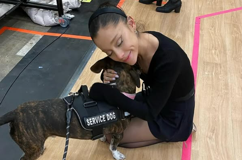 Cão de suporte emocional é abraçado por artista famosa