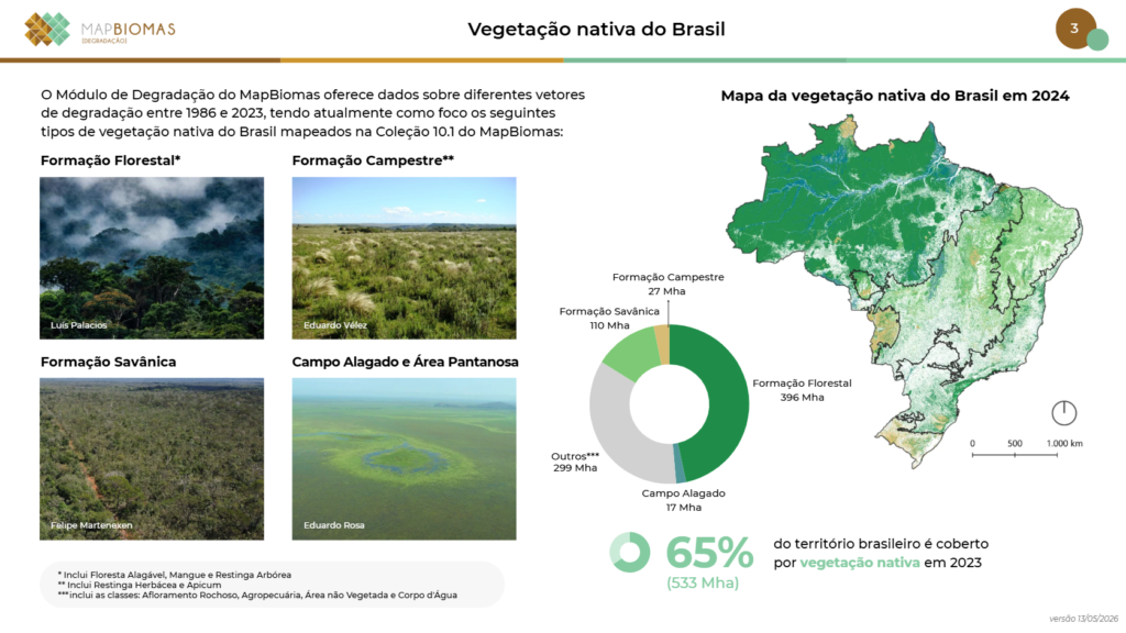 Gráfico que demostra os fragmentos de vegetação nativa em forma dentro do mata do Brasil descreve os tipos de formação vegetal.