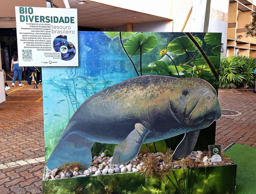 Desenho de peixe-boi em divulgação de evento na CNPEM.