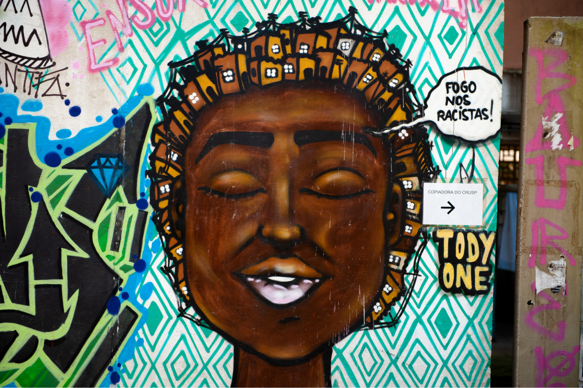 Na imagem, o painel assinado por “Tody One” localizado na USP 