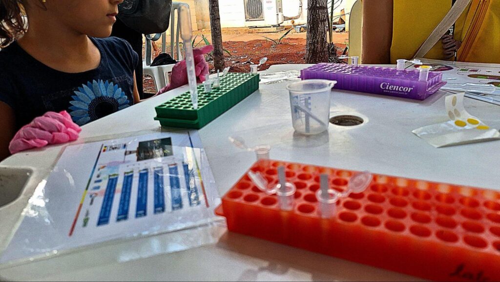 Imagem de experimento para verificar a ação das enzimas.