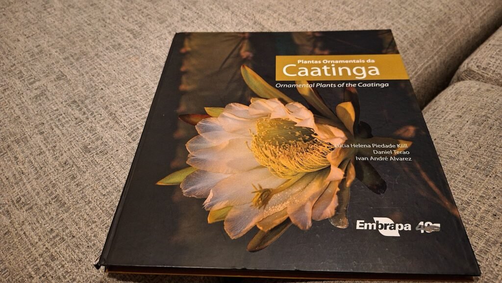Livro sobre Caatinga da Lúcia pode ser encontrado online