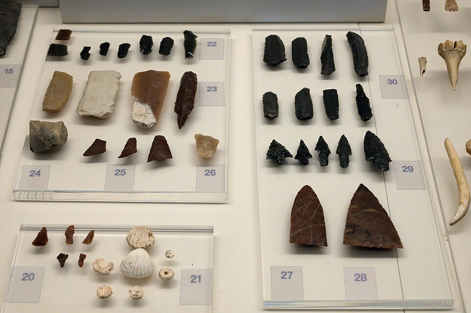 Imagem de vários tipos de pedra catologadas em um museu.
