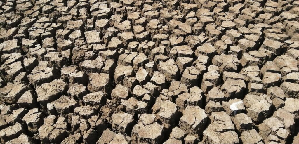 Foto de um terreno seco e petrificado pela dessertificação.