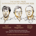 Desenho dos três ganhadores do Nobel de Medicina