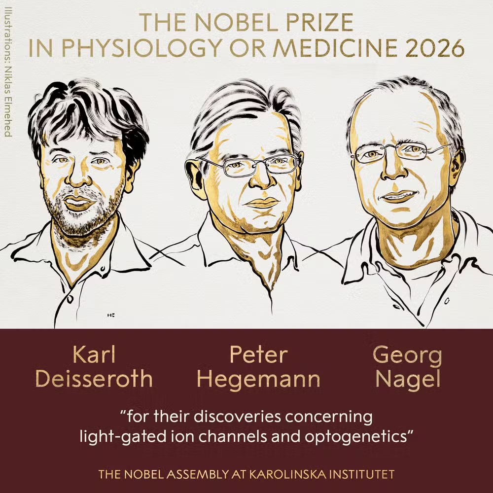 Desenho dos três ganhadores do Nobel de Medicina