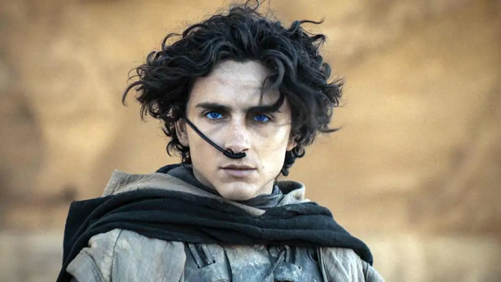 Paul Atreides (Timothée Chalamet) olha para o horizonte do planeta Arrakis em Duna: Parte 2