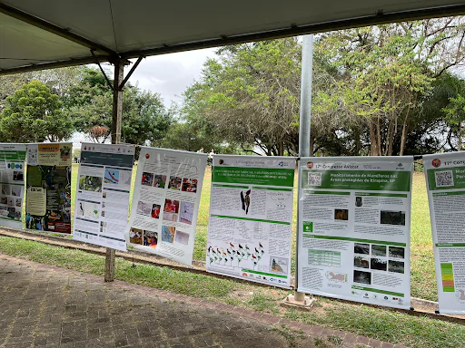 Exposição de cartazes de apresentações no congresso Avistar