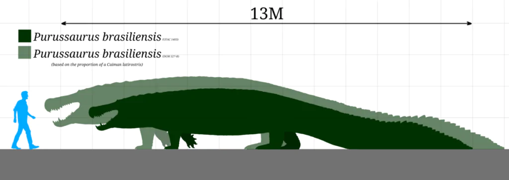 Seres gigantes da Amazônia em escala atual