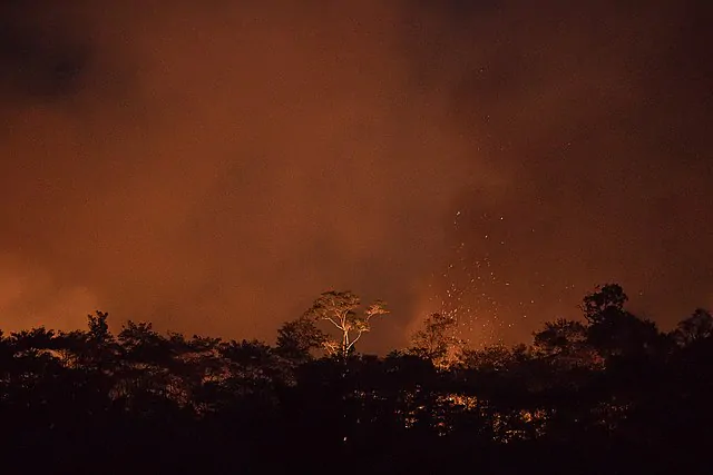 Queimada em floresta, responsável por emissões que contribuem para mudanças climáticas