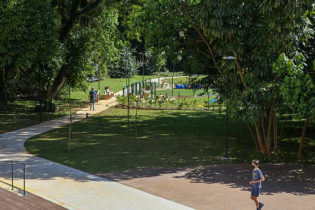 Parque arborizado em uma cidade grande