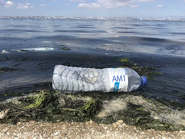 Garrafa de plástico na beira de um corpo d'água, ilustrando a poluição, grande influenciador das mudanças climáticas