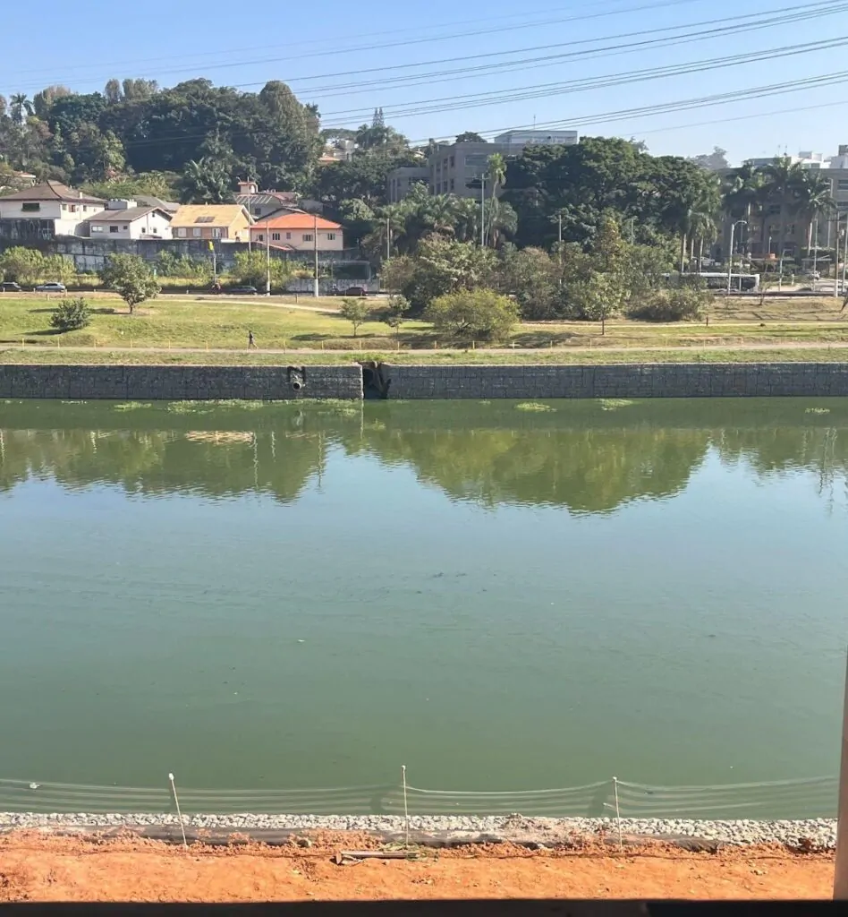 rio pinheiro