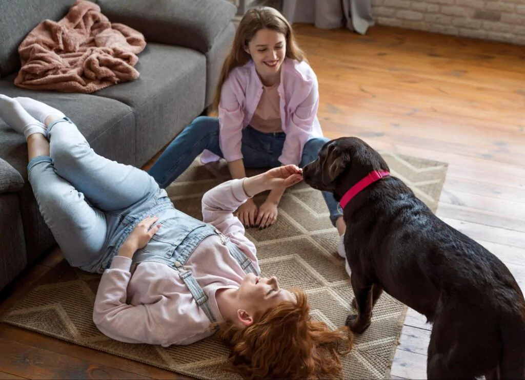 Crianças brincando com animal como forma de cuidado em favor da saúde mental