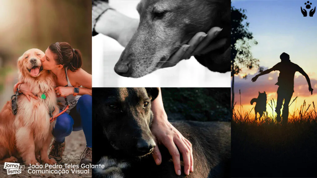 Cães de suporte emocional