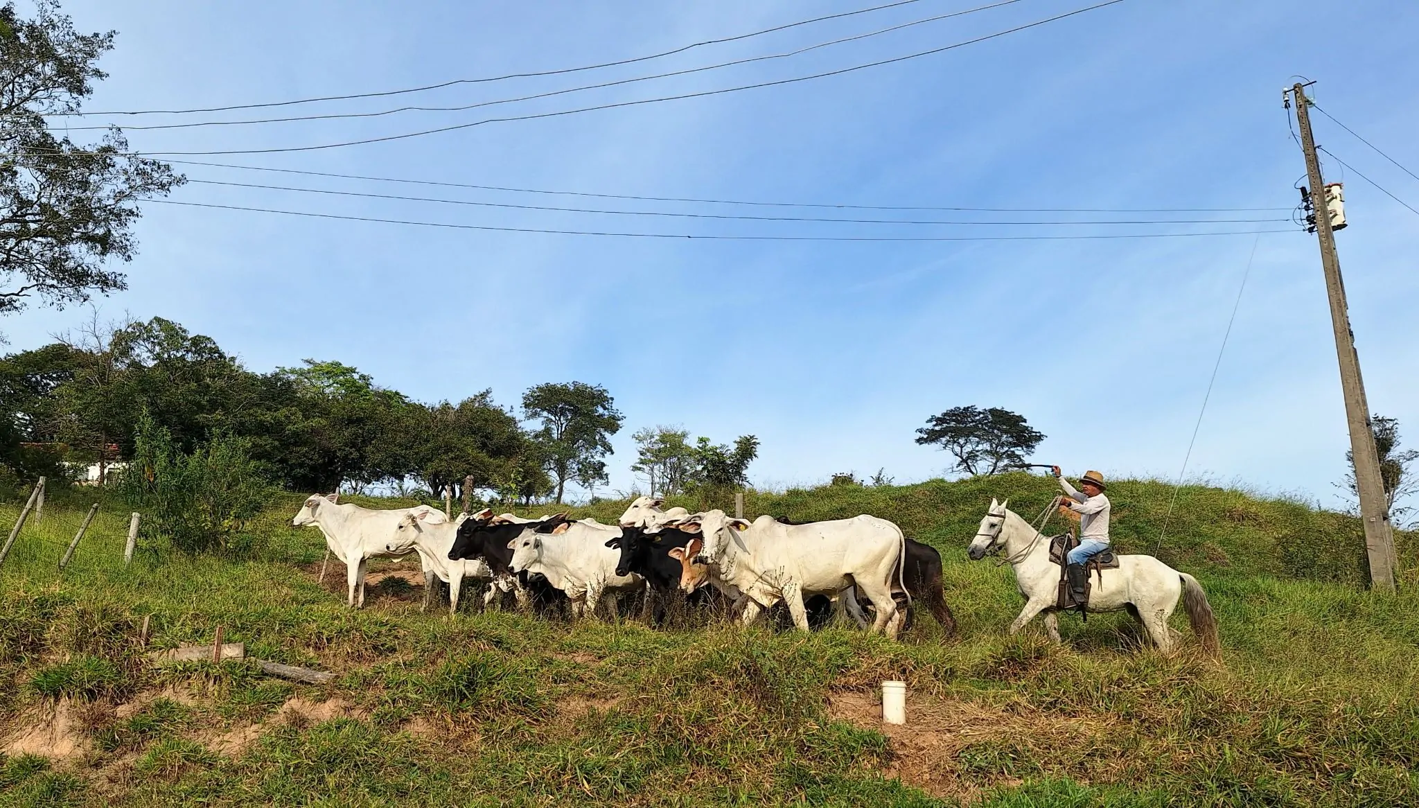 No ritmo do campo: um dia na vida do trabalhador rural