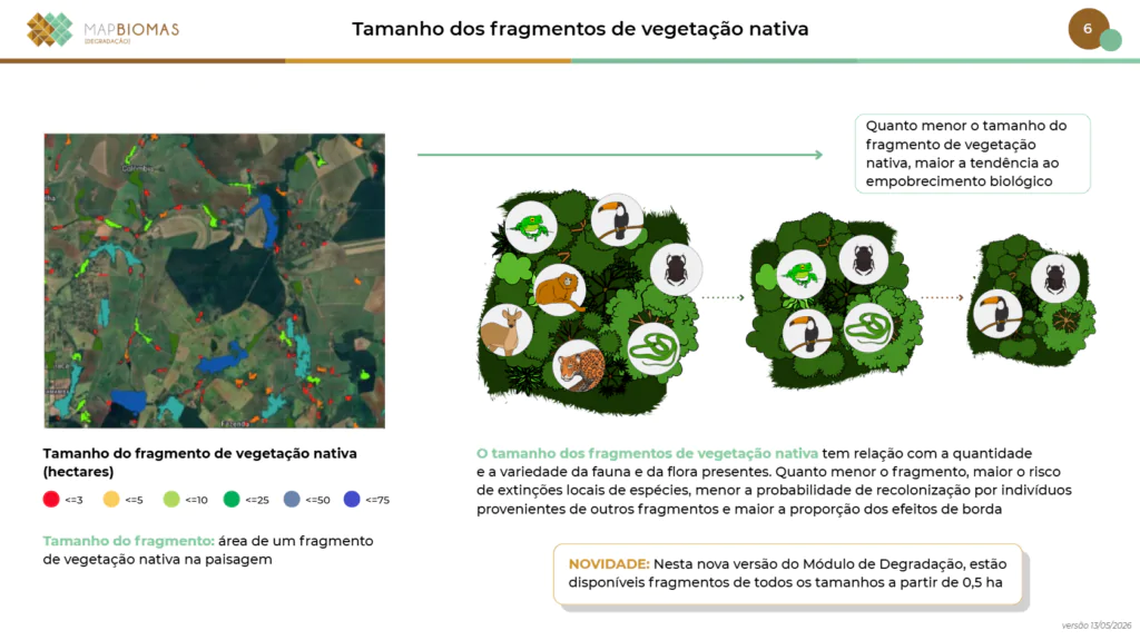 Gráfico que  expõe os fragmentos de vegetações nativas diante do desmatamento.