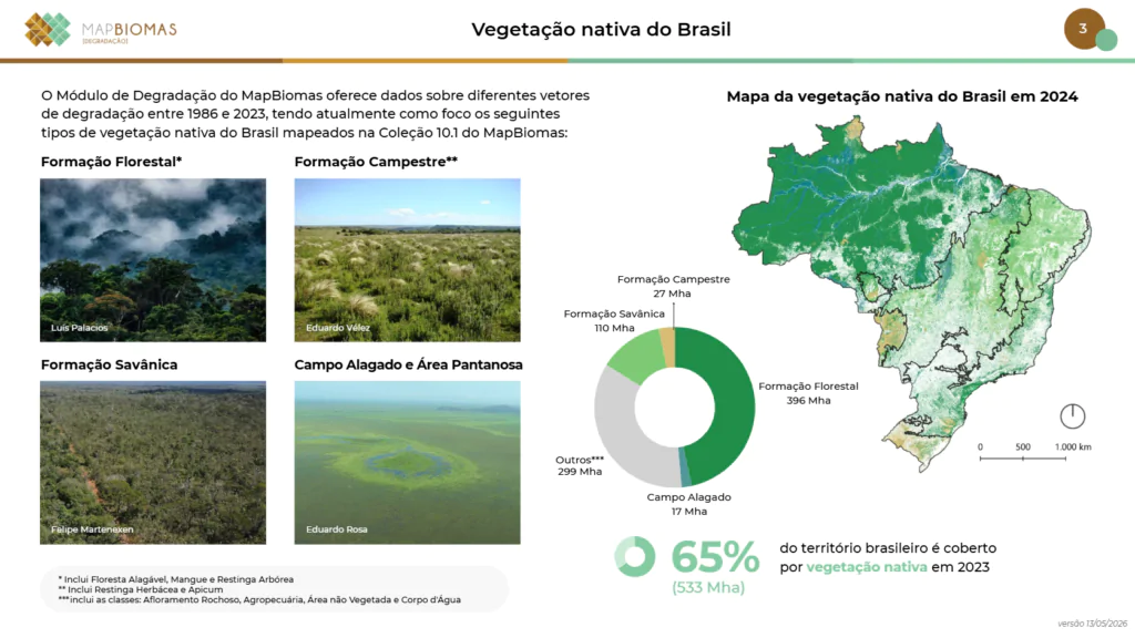 Gráfico que demostra os fragmentos de vegetação nativa em forma dentro do mata do Brasil descreve os tipos de formação vegetal.