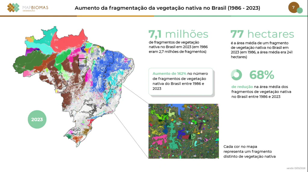 Mapa que mostra o histórico de desmatamento ambiental no Brasil.
