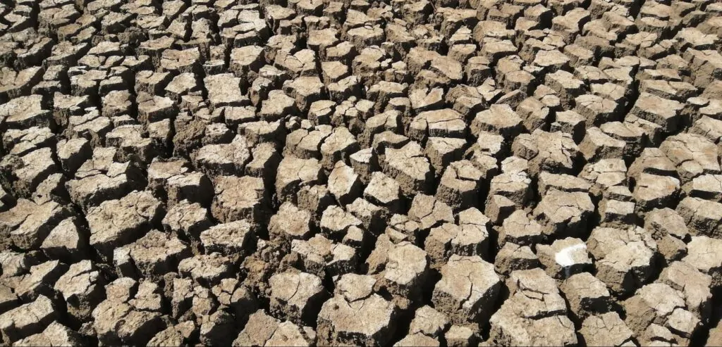 Foto de um terreno seco e petrificado pela dessertificação.