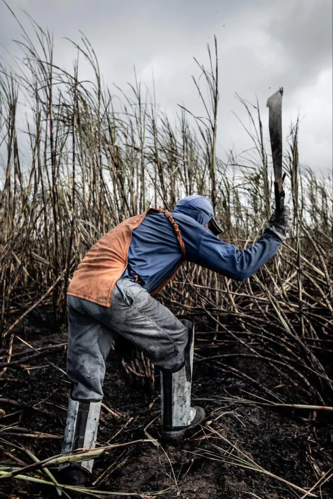Homem cortando vegetação em meio a terreno queimado.