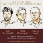 Desenho dos três ganhadores do Nobel de Medicina