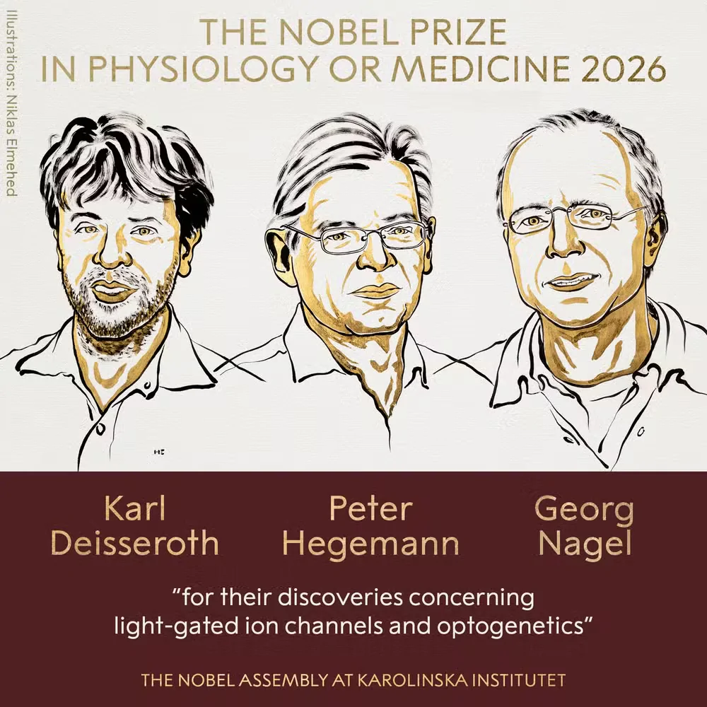 Desenho dos três ganhadores do Nobel de Medicina